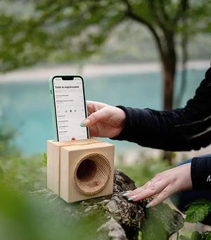 Lautsprecher Cube von Vaia, der aus dem Holz von Bäumen, die vom Sturm Vaia (Dolomiten, 2018) gefällt wurden, hergestellt wird. 