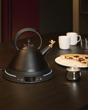 Wasserkessel MG32TC B